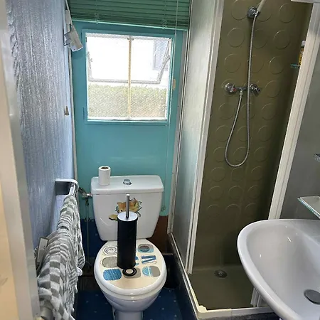 Des Mouette Saint-Martin-aux-Buneaux